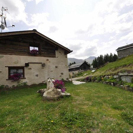Mountain Chalet Scoiattolo By Livigno Accomodation Eksteriør bilde