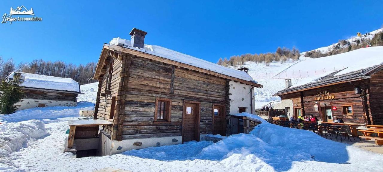 Mountain Chalet Scoiattolo By Livigno Accomodation Eksteriør bilde
