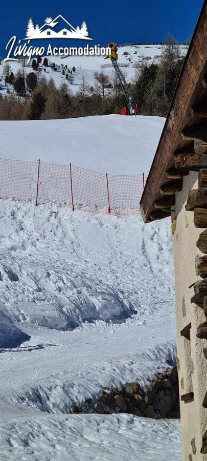 Mountain Chalet Scoiattolo By Livigno Accomodation Eksteriør bilde