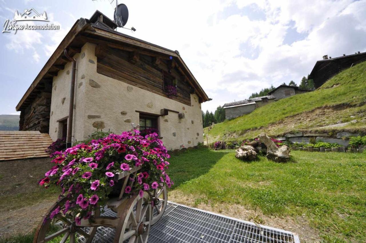 Mountain Chalet Scoiattolo By Livigno Accomodation Eksteriør bilde