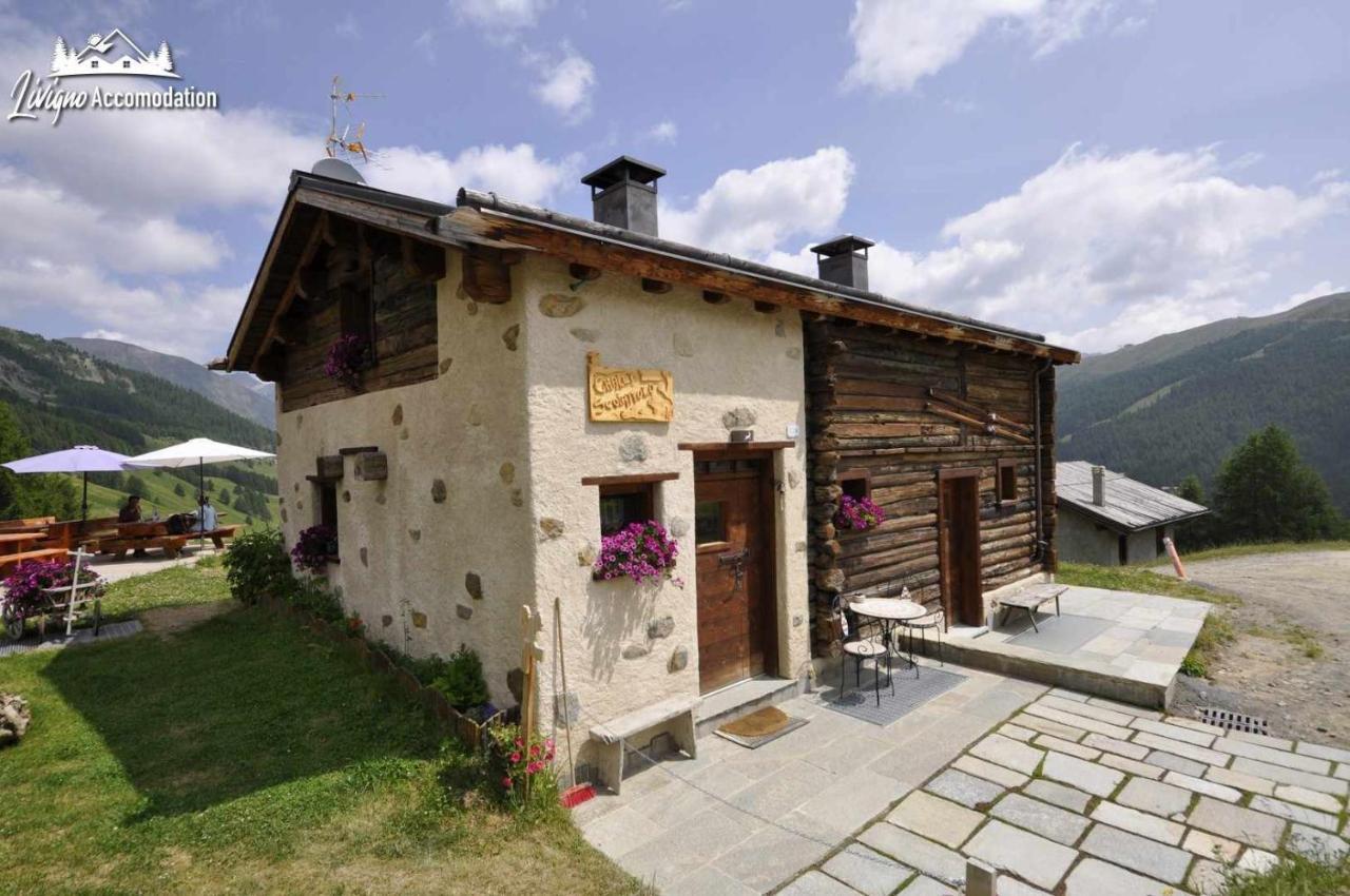 Mountain Chalet Scoiattolo By Livigno Accomodation Eksteriør bilde