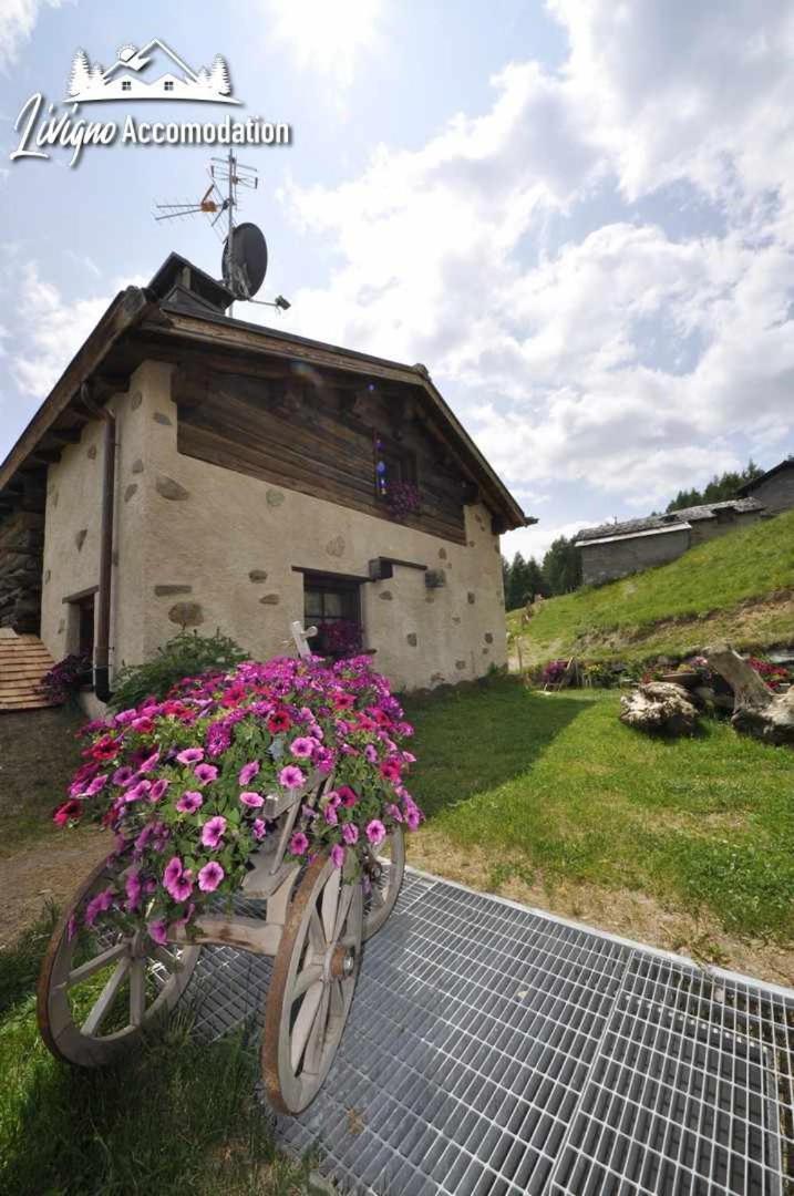 Mountain Chalet Scoiattolo By Livigno Accomodation Eksteriør bilde