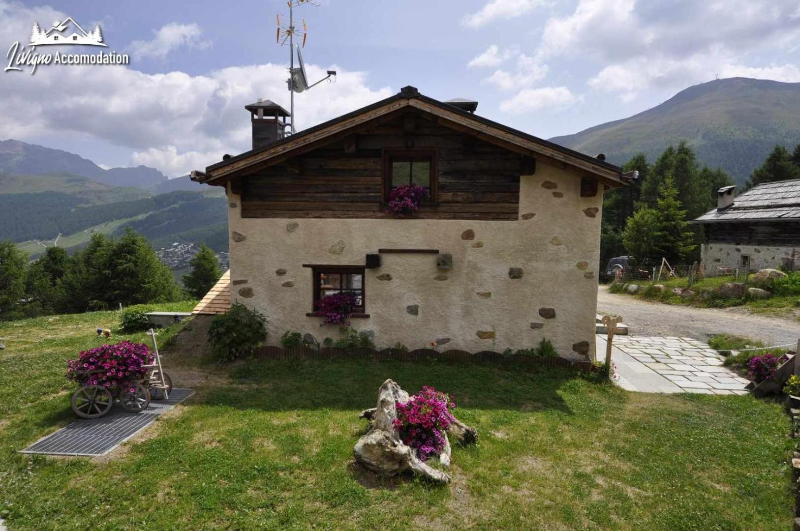 Mountain Chalet Scoiattolo By Livigno Accomodation Eksteriør bilde