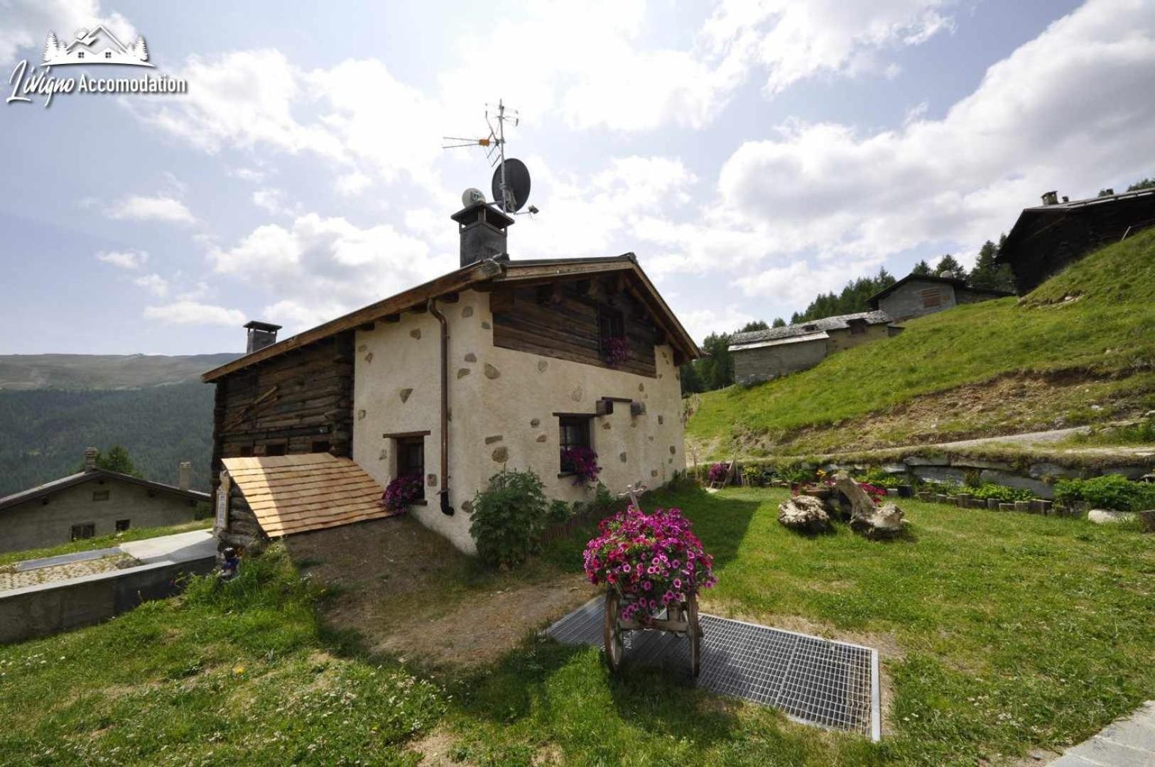 Mountain Chalet Scoiattolo By Livigno Accomodation Eksteriør bilde